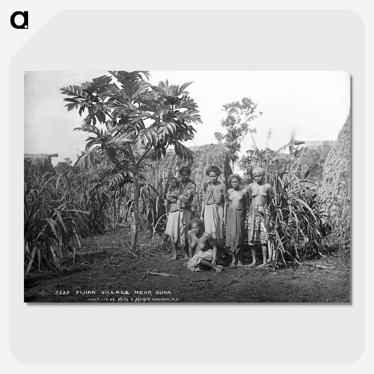 1-24_The-Burton-Brothers_picture-crop