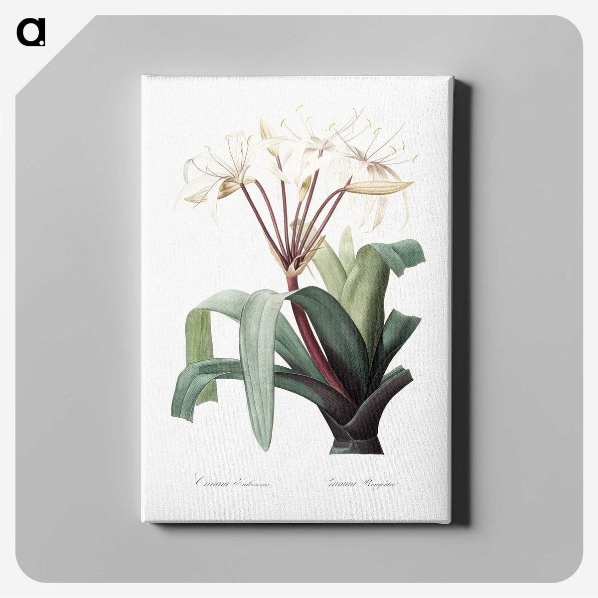 1-24_The-Lilies_canvas