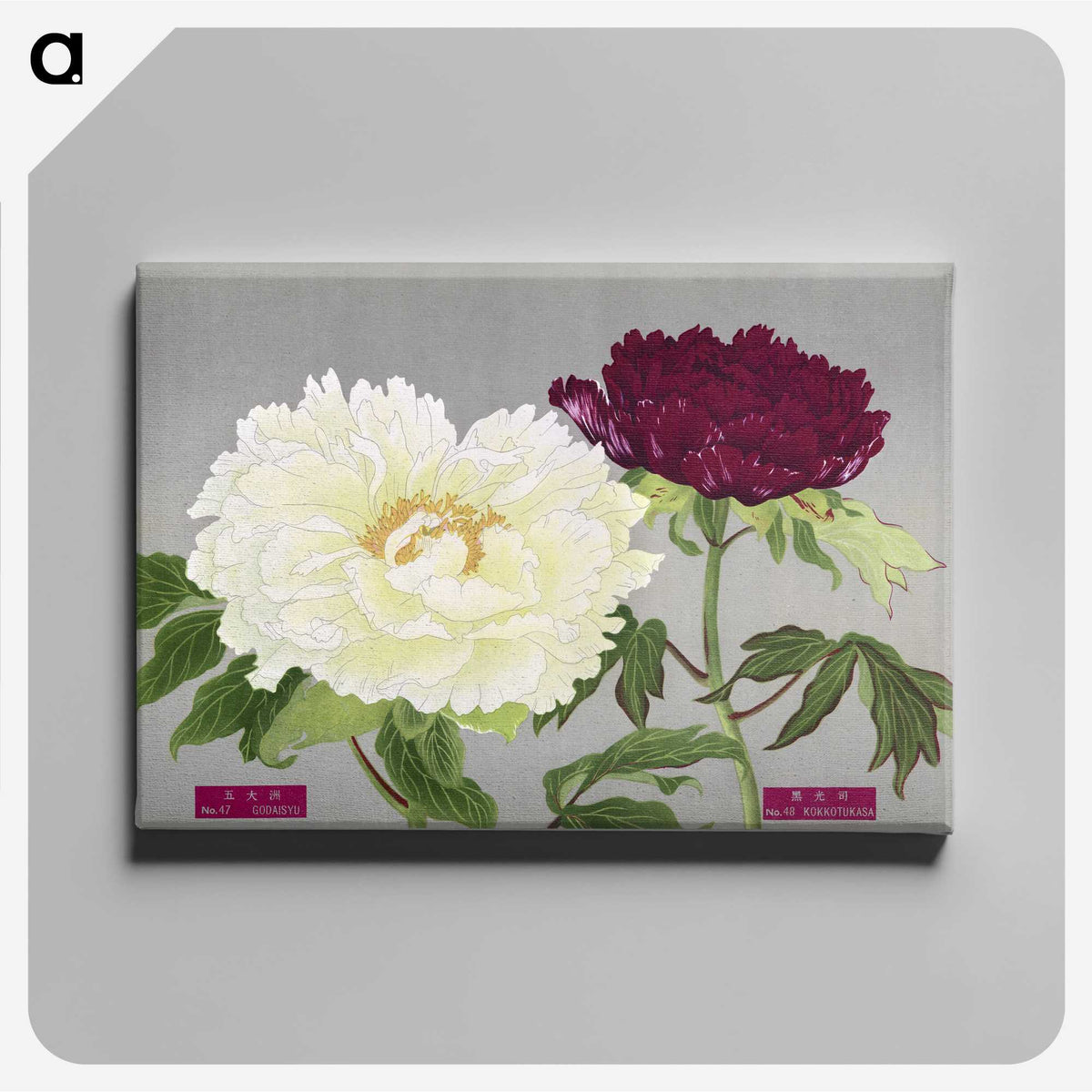 1-24_The-Picture-Book-of-Peonies_canvas