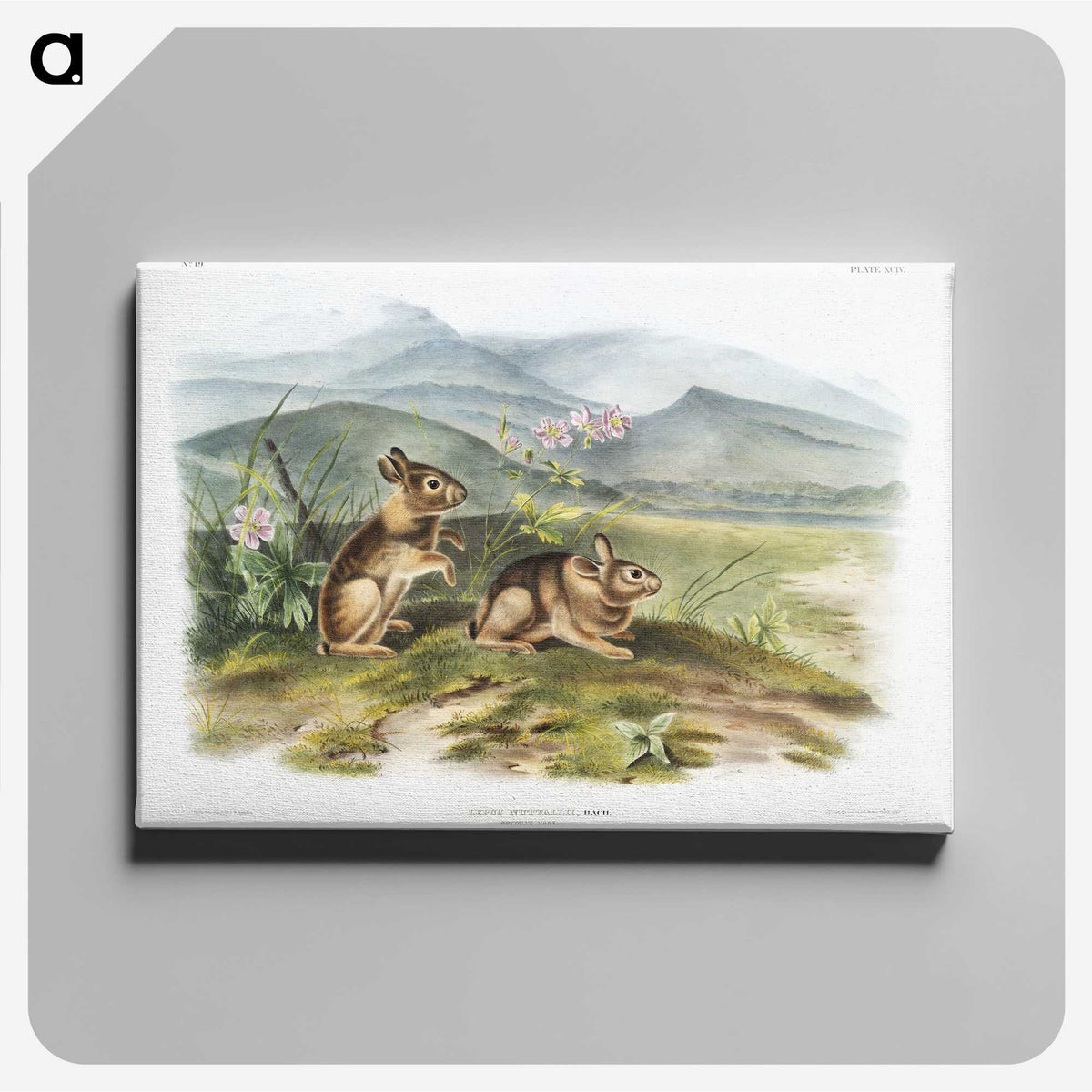 1-24_The-Viviparous-Quadrupeds_canvas