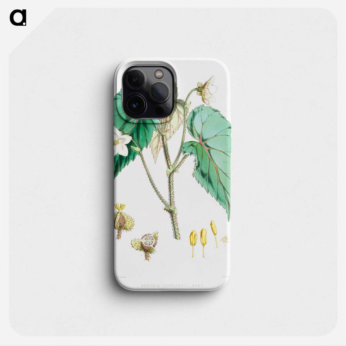 Begonia Cathcartii - Walter Hood Fitch Phone Case.
