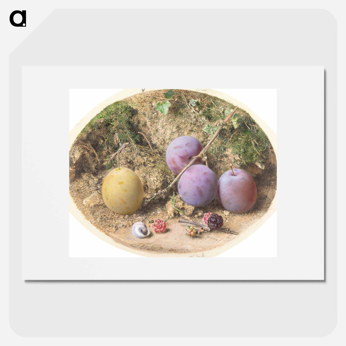 Plums and Mulberries - ウィリアム ヘンリー ハント Poster.