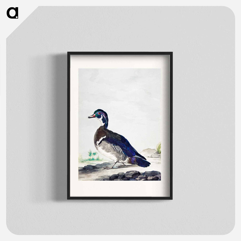 A Duck - アールト シューマン Poster.