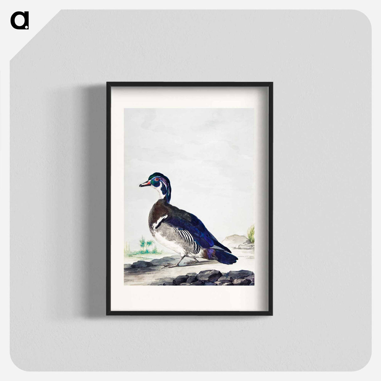 アートポスター-A Duck - アールト シューマン Poster.
