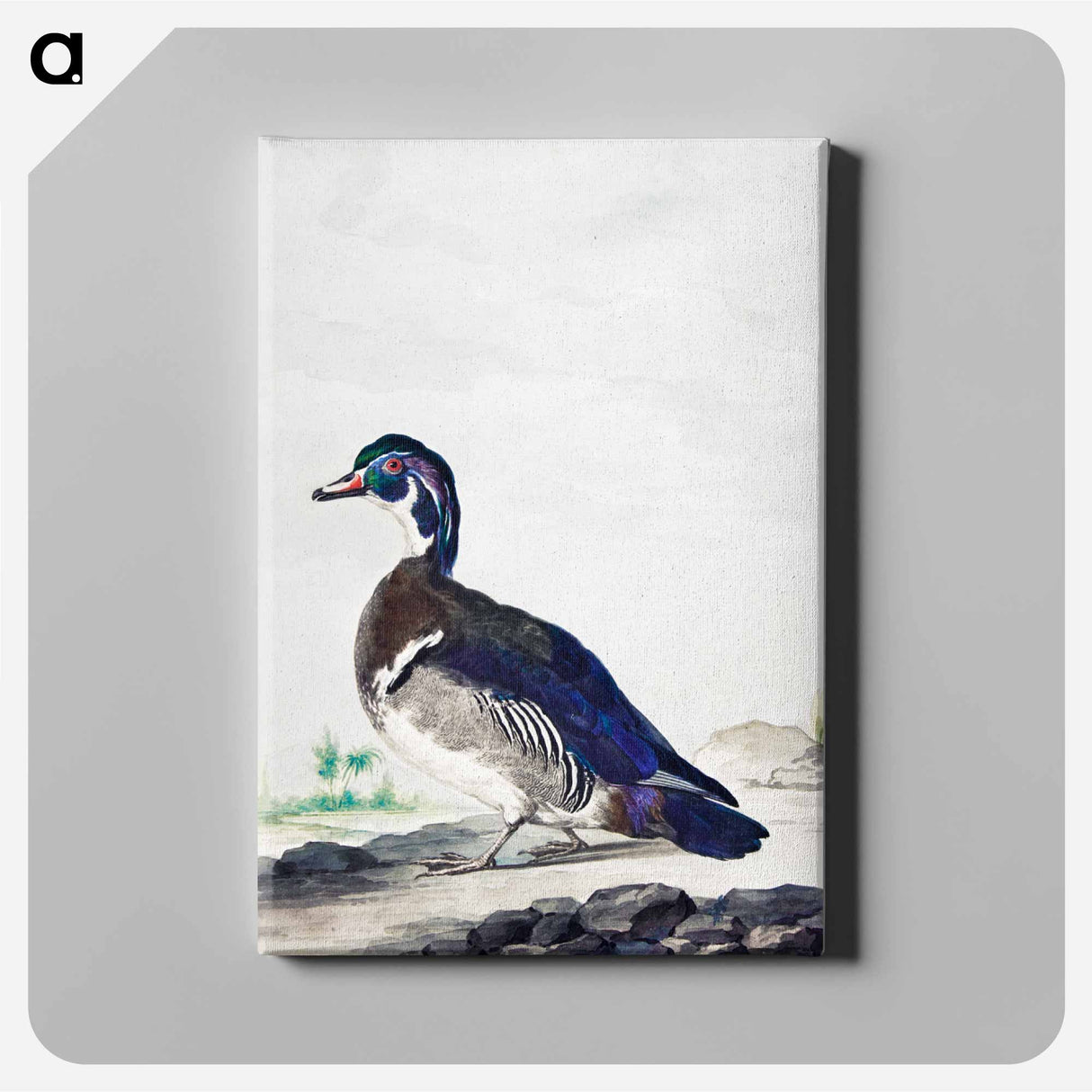 アートパネル-A Duck - アールト シューマン Canvas.
