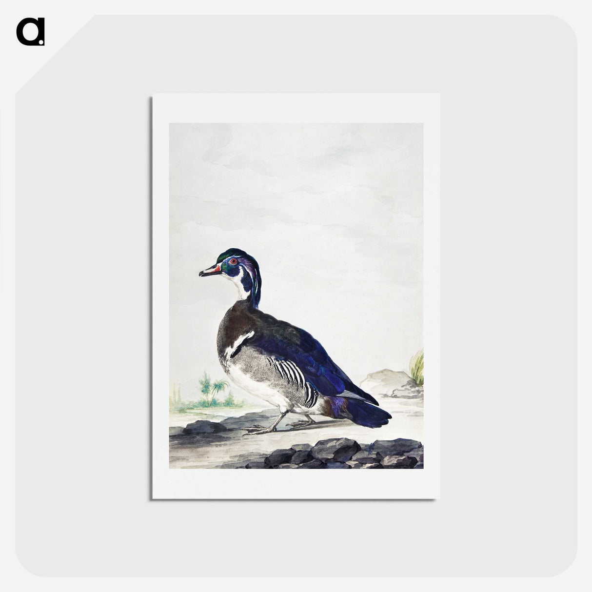 1-25_Aert-Schouman_hagaki