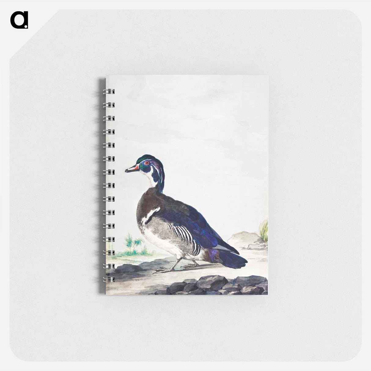 アートメモ帳-A Duck - アールト シューマン Memo.