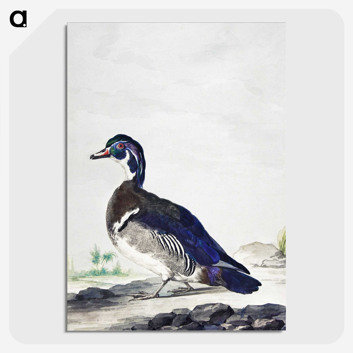 1-25_Aert-Schouman_picture-crop