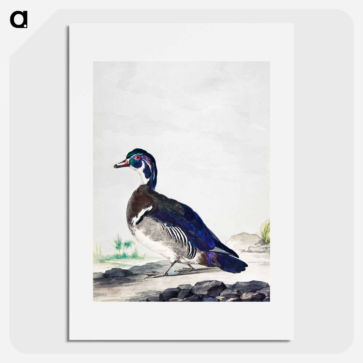 アートポスター-A Duck - アールト シューマン Poster.