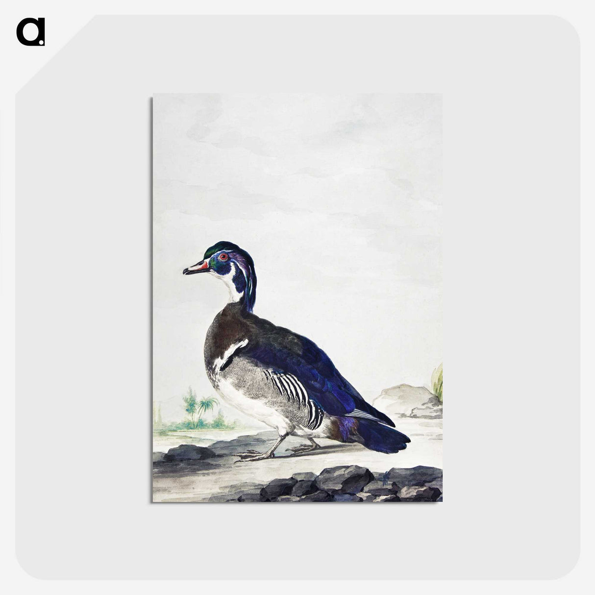 1-25_Aert-Schouman_postcard