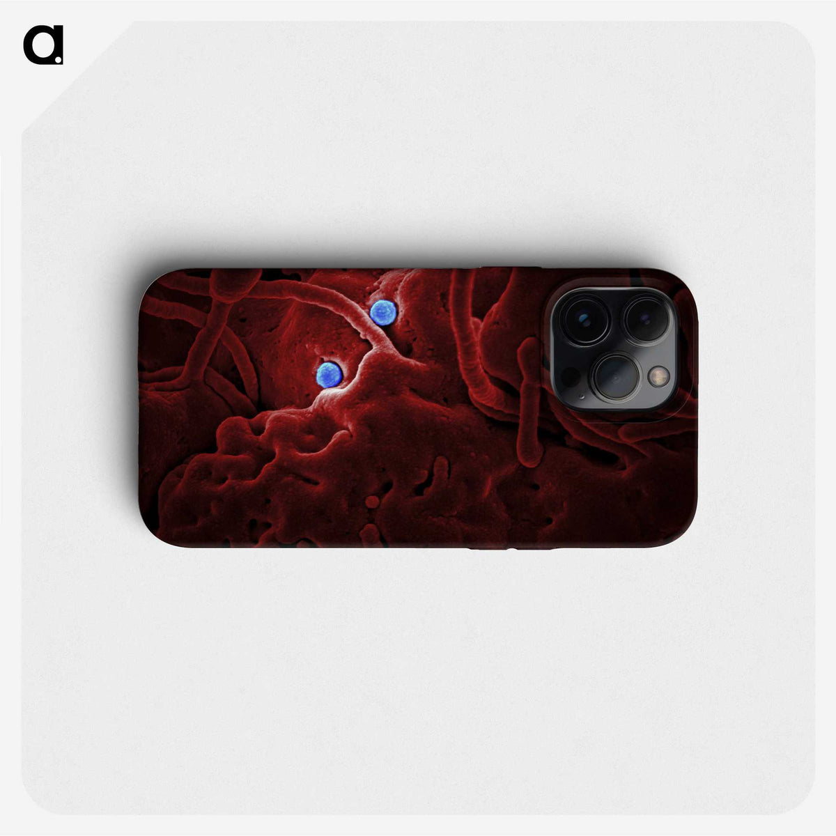 1-25_COVID-19_phone