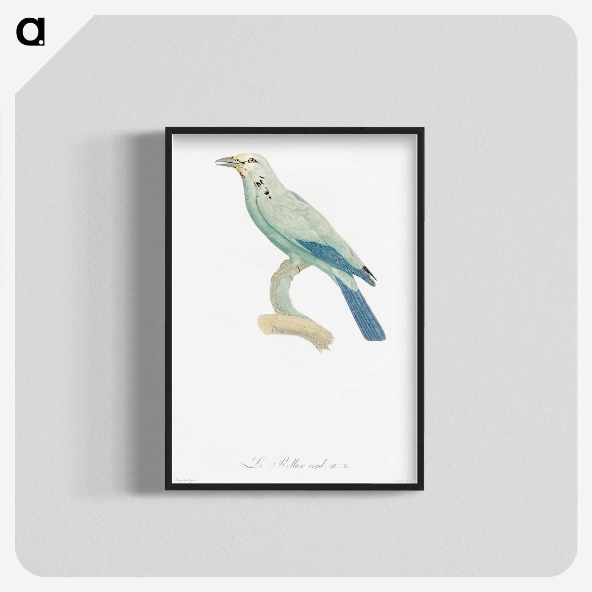 1-25_Des-Oiseaux-de-Paradis_blk-crop