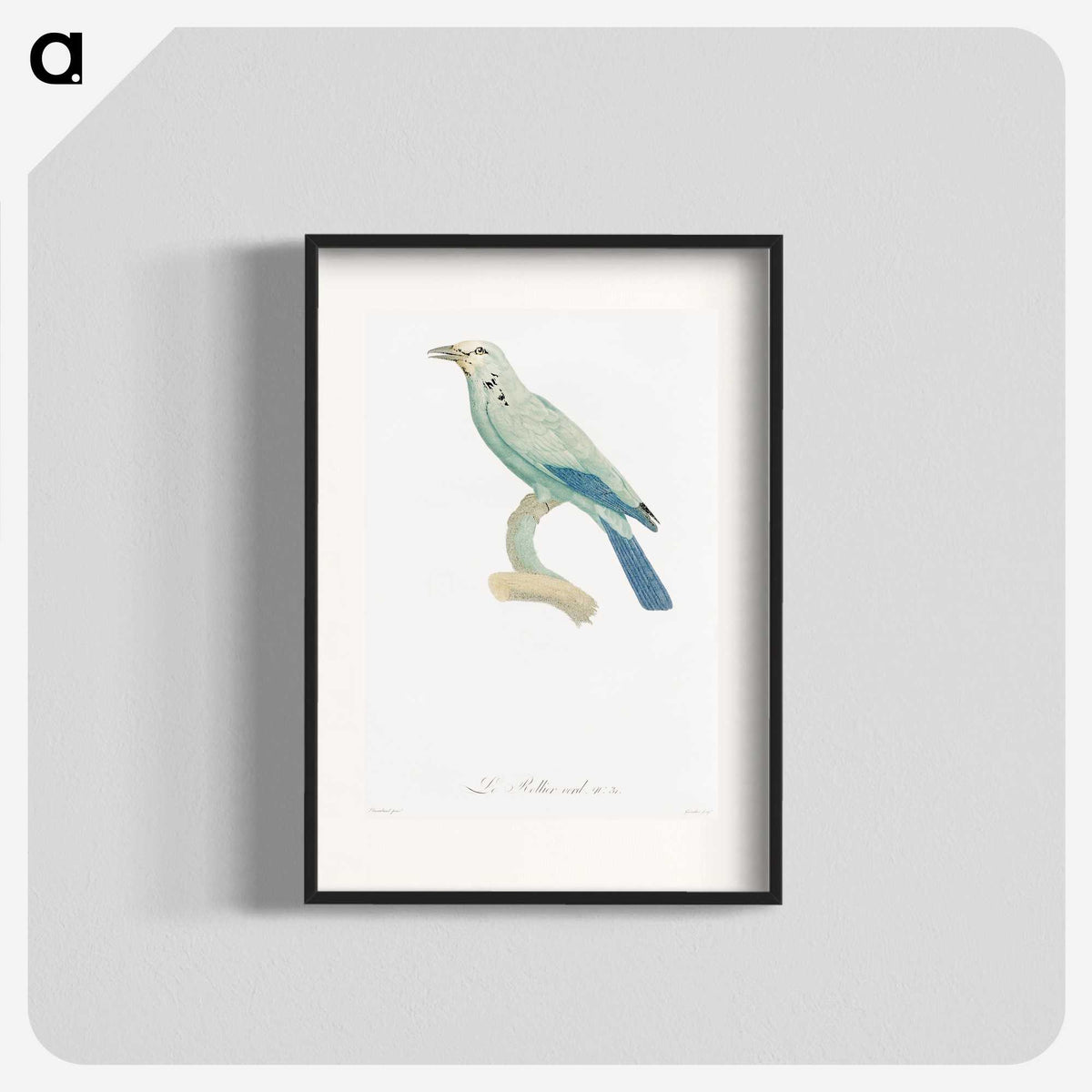 1-25_Des-Oiseaux-de-Paradis_blk