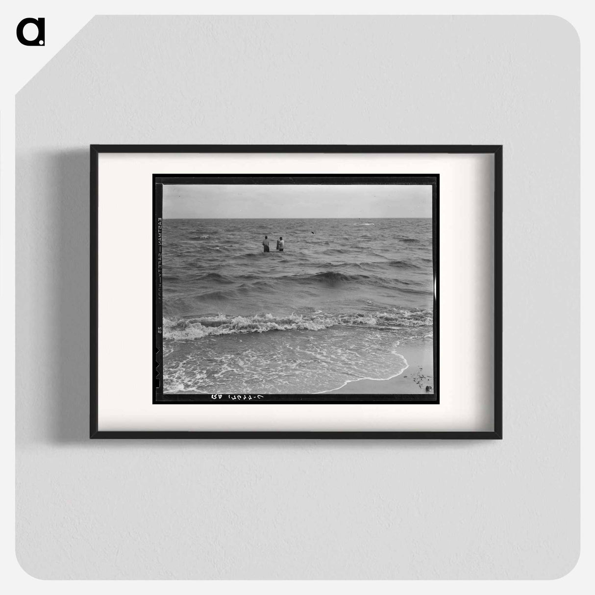Net fishing on the Gulf of Mexico - Dorothea Lange Poster.