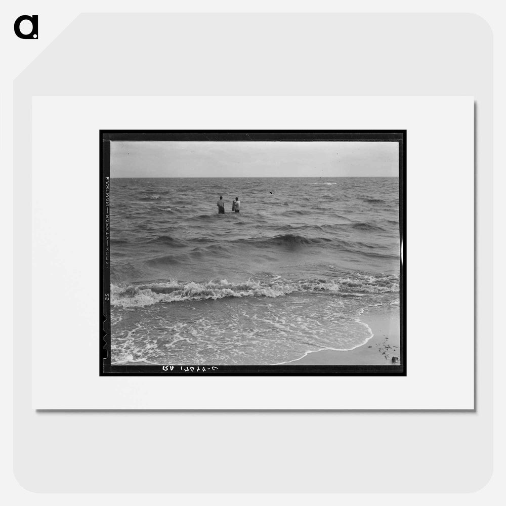 Net fishing on the Gulf of Mexico - Dorothea Lange Poster.