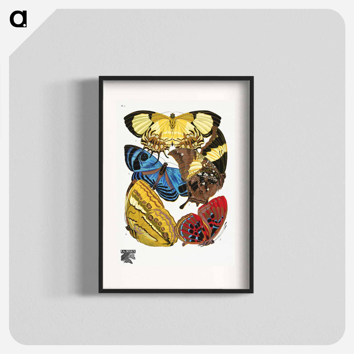 E.A. Séguy's vintage butterflies - E.A.セギー Poster.
