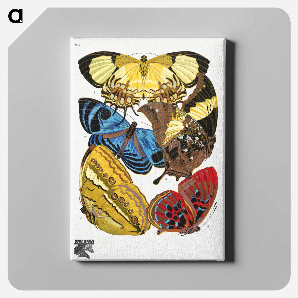 E.A. Séguy's vintage butterflies - E.A.セギー Canvas.