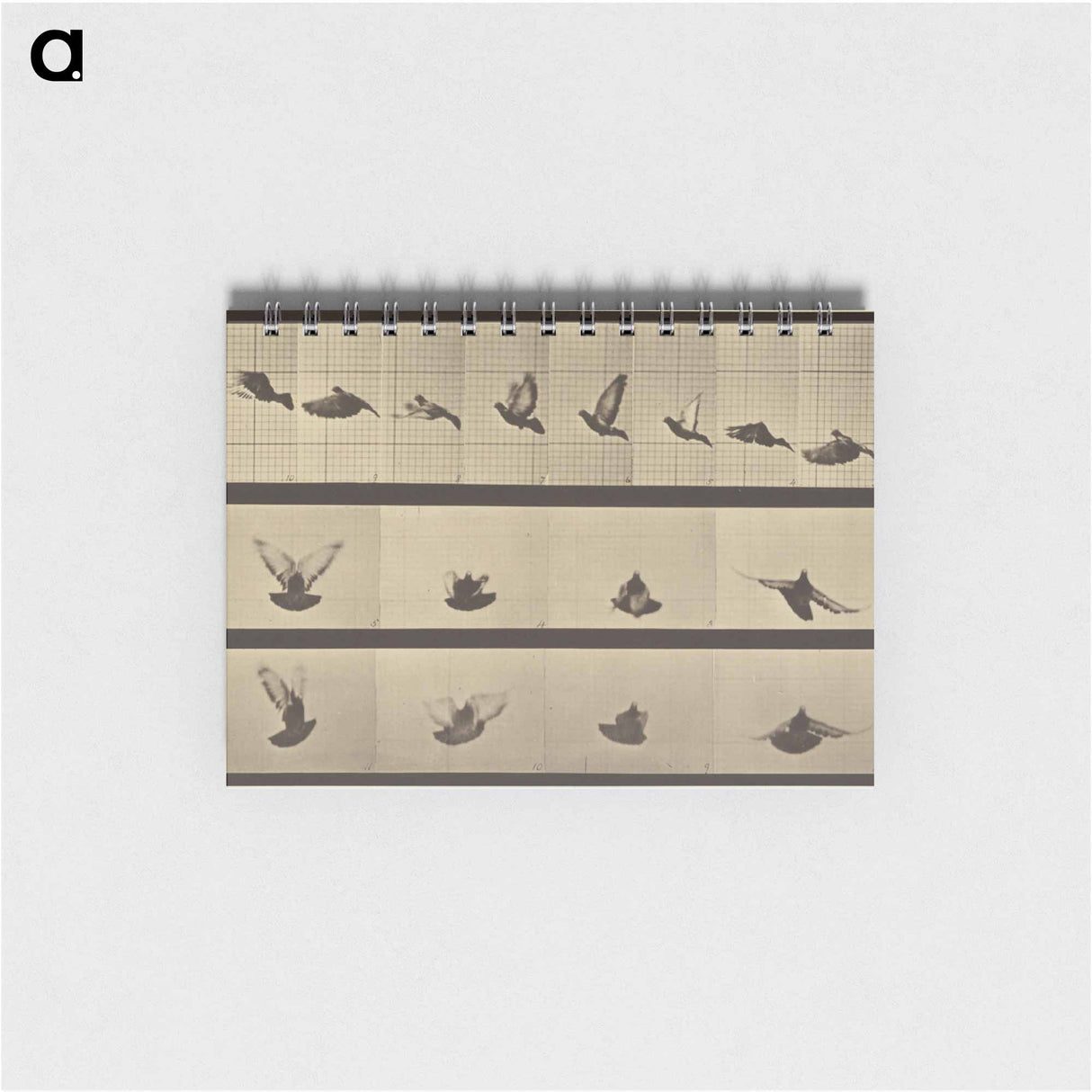 アートメモ帳-Animal Locomotion
- エドワード マイブリッジ Memo.