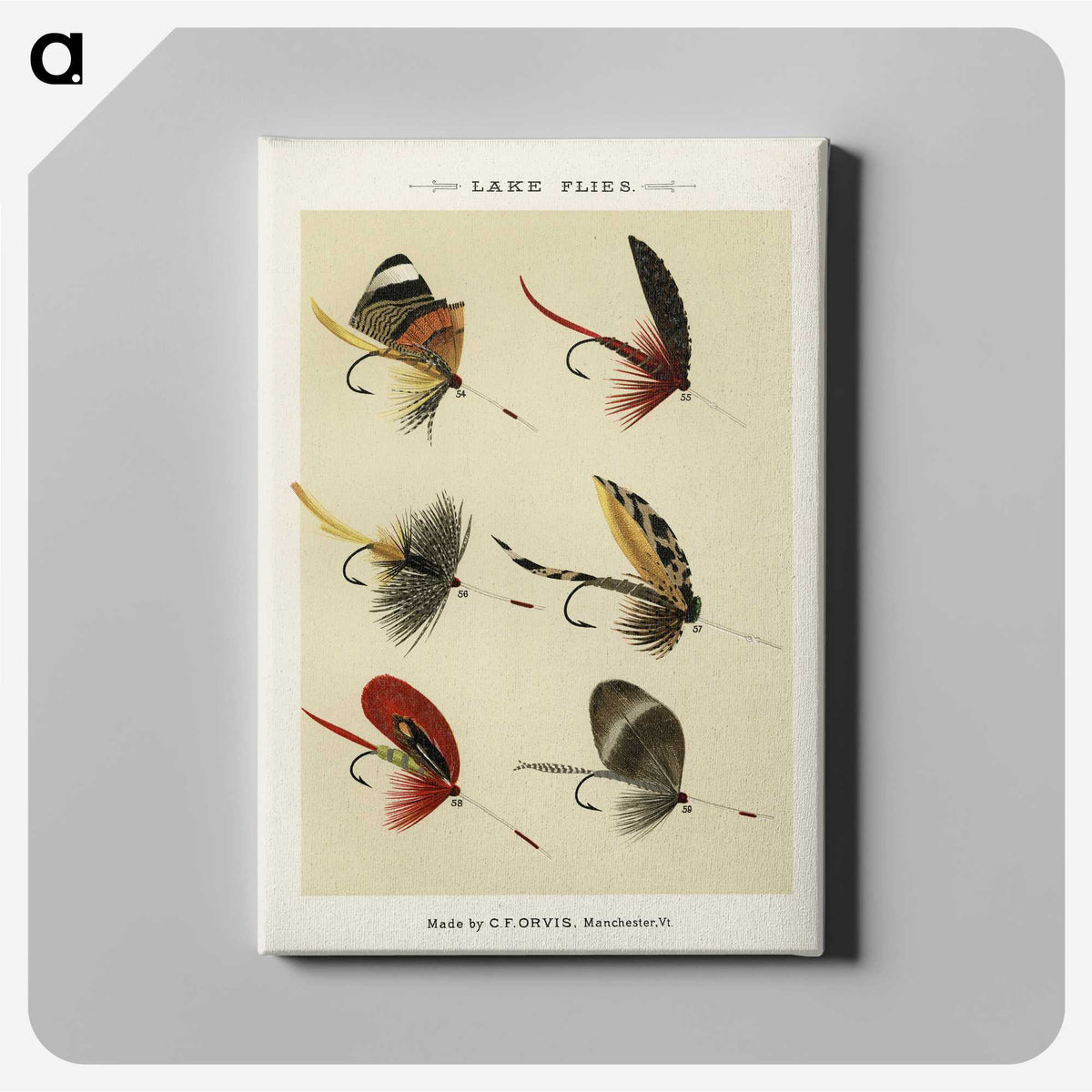 1-25_Favorite-Flies-and-Their-History_canvas
