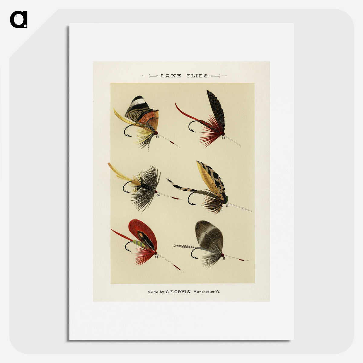 1-25_Favorite-Flies-and-Their-History_picture