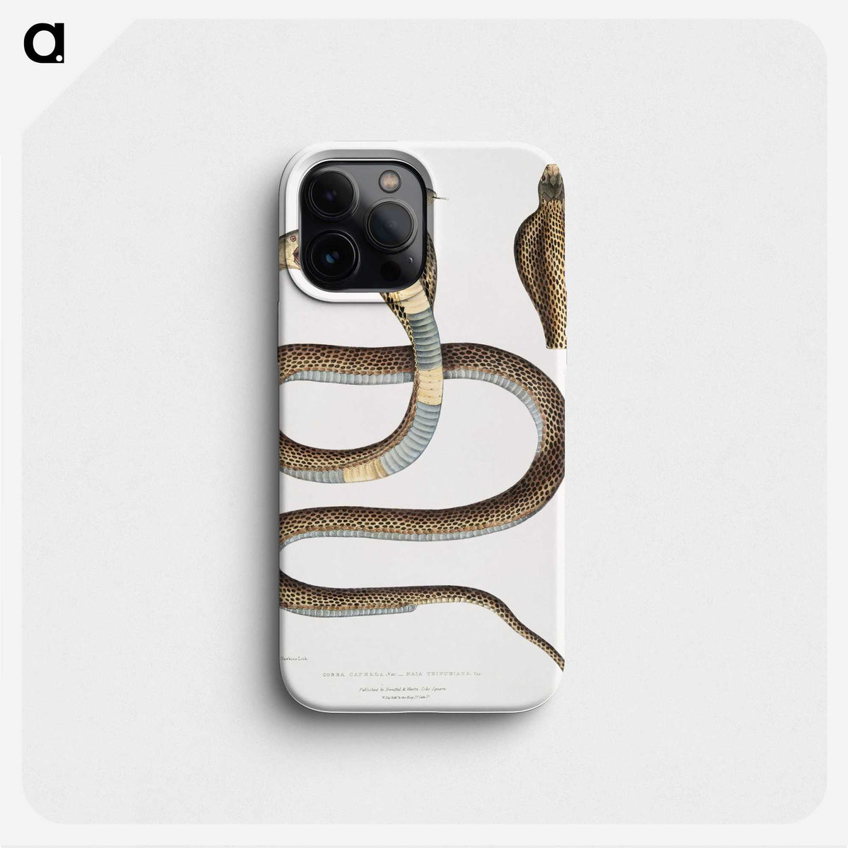 1-25_Indian-Zoology_phone