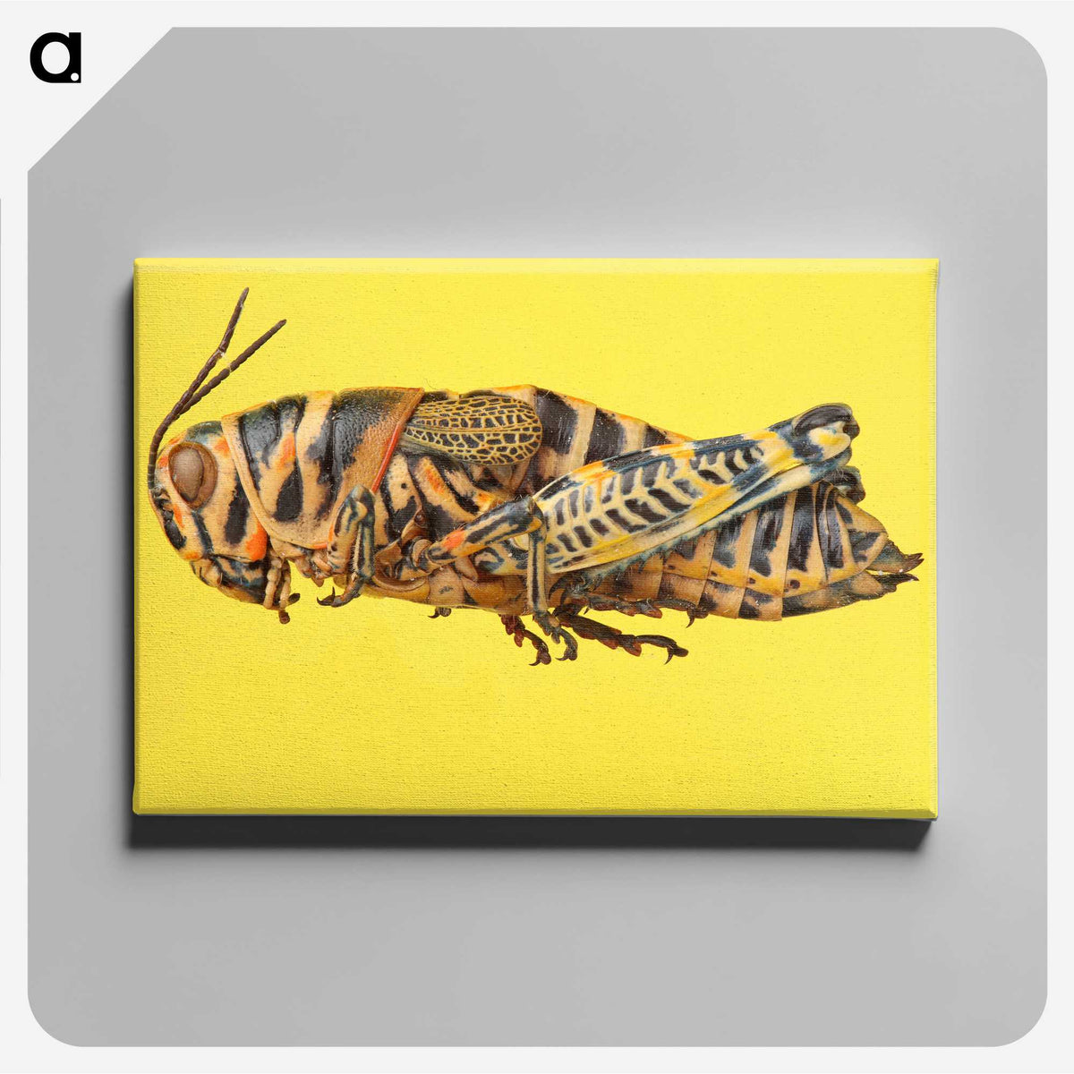 1-25_Insects-Unlocked-Project_canvas