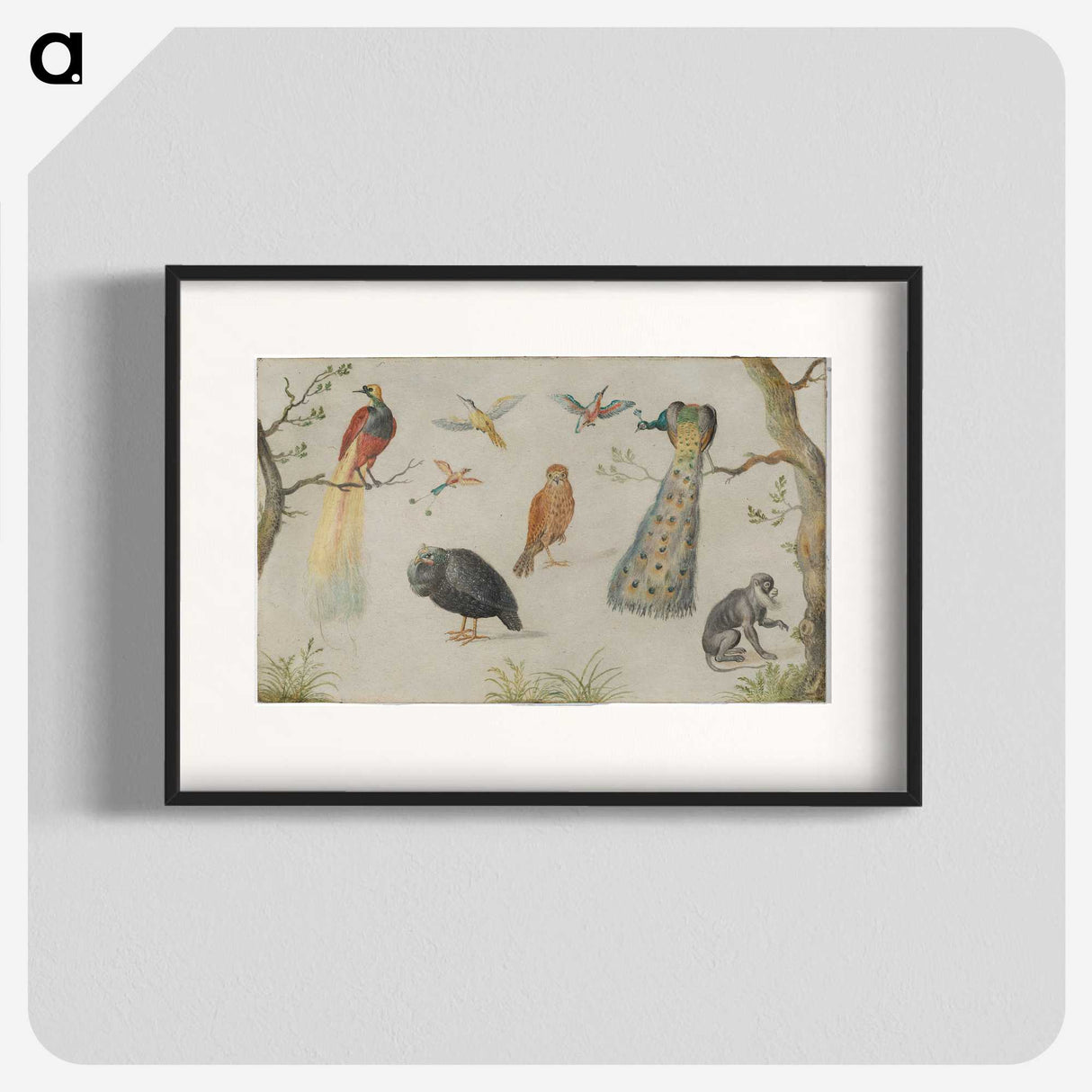 1-25_Jan-Van-Kessel_blk