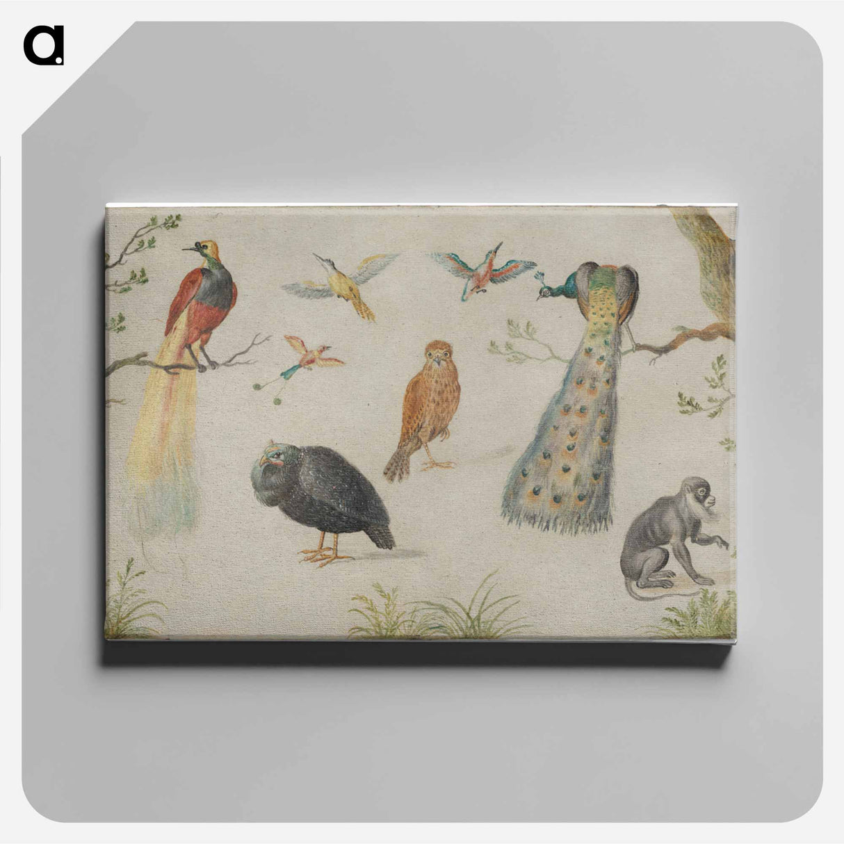 アートパネル-Study of Birds and Monkey
- ヤン ファン ケッセル Canvas.