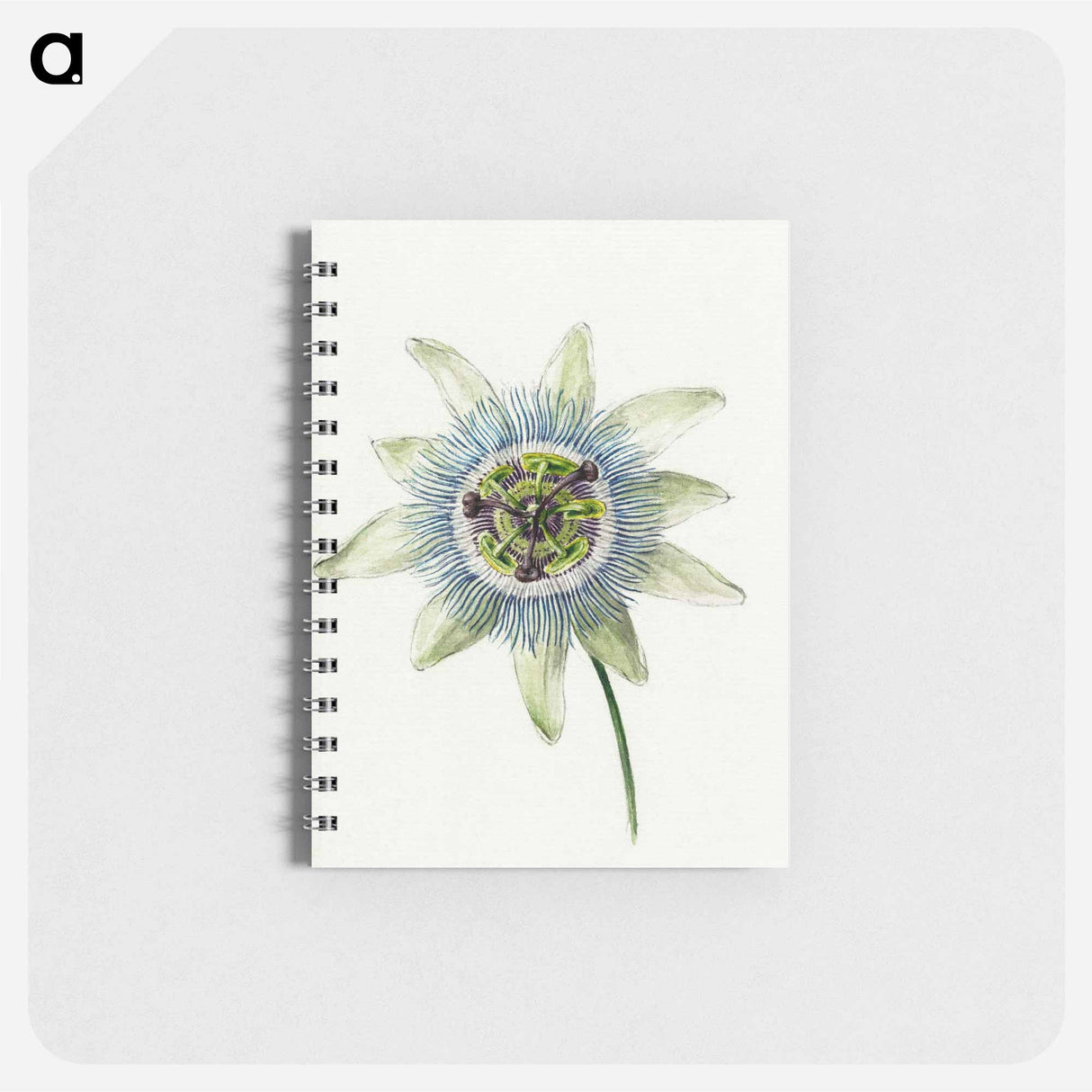 Passion Flower - ジャン ベルナール Memo.