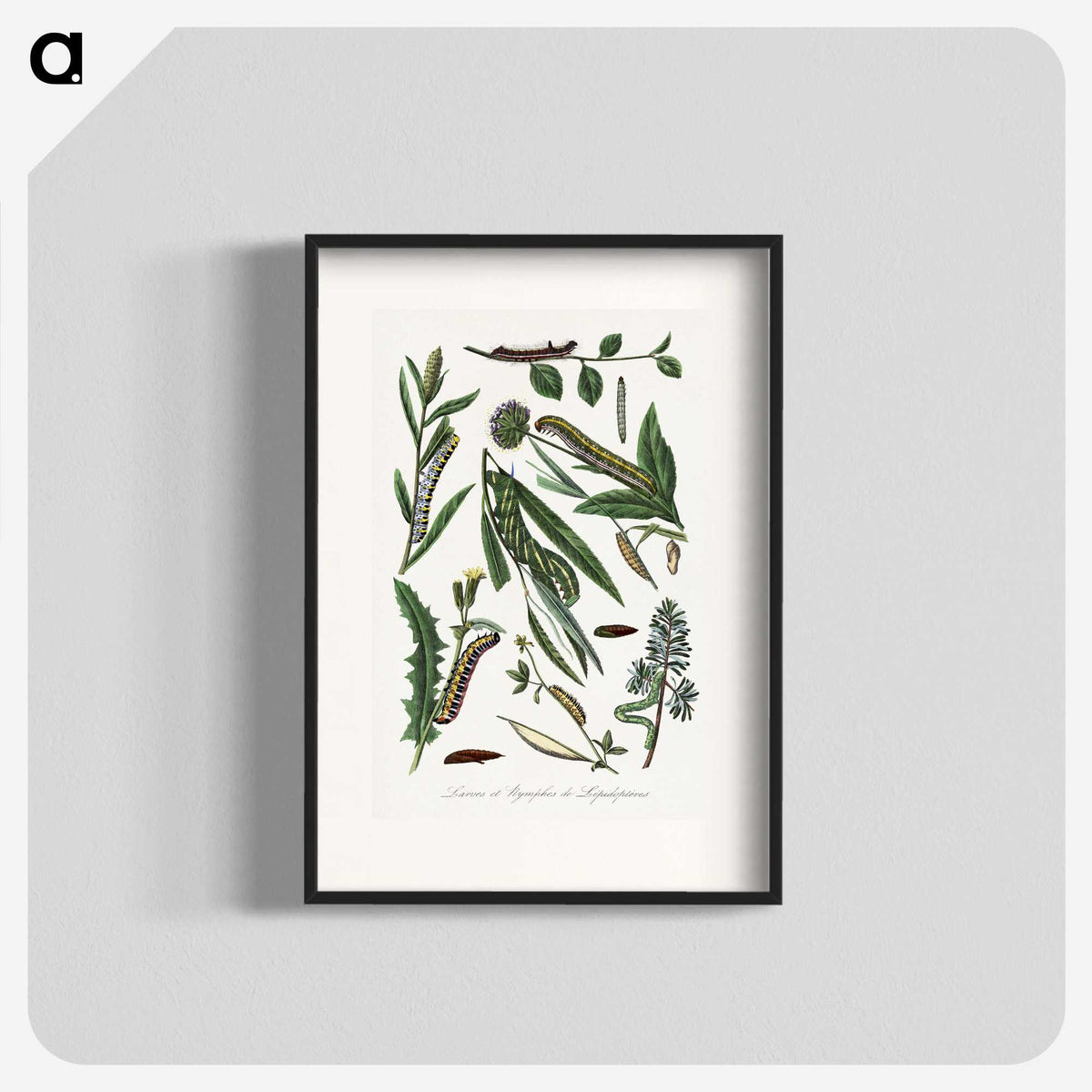 1-25_Le-Jardin-des-Plantes_blk