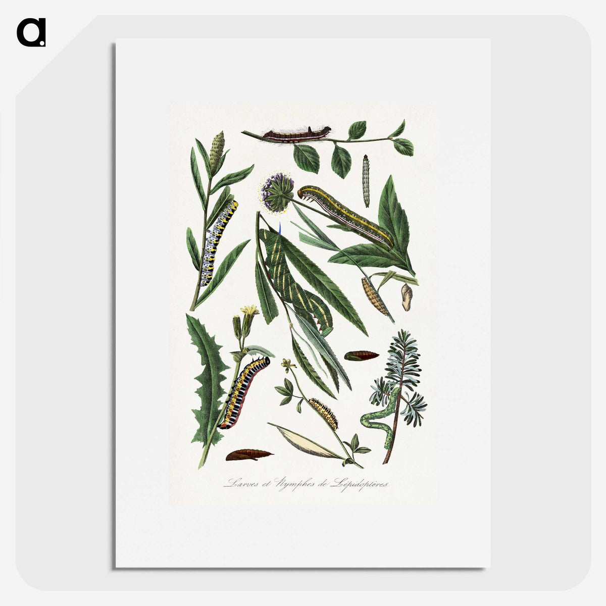 1-25_Le-Jardin-des-Plantes_picture