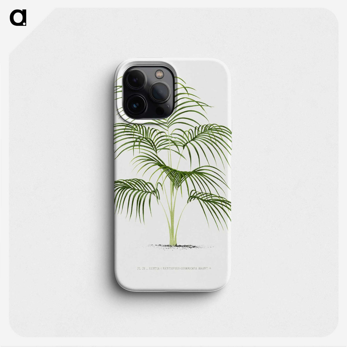 1-25_Les-Palmiers-Histoire-Iconographique_phone