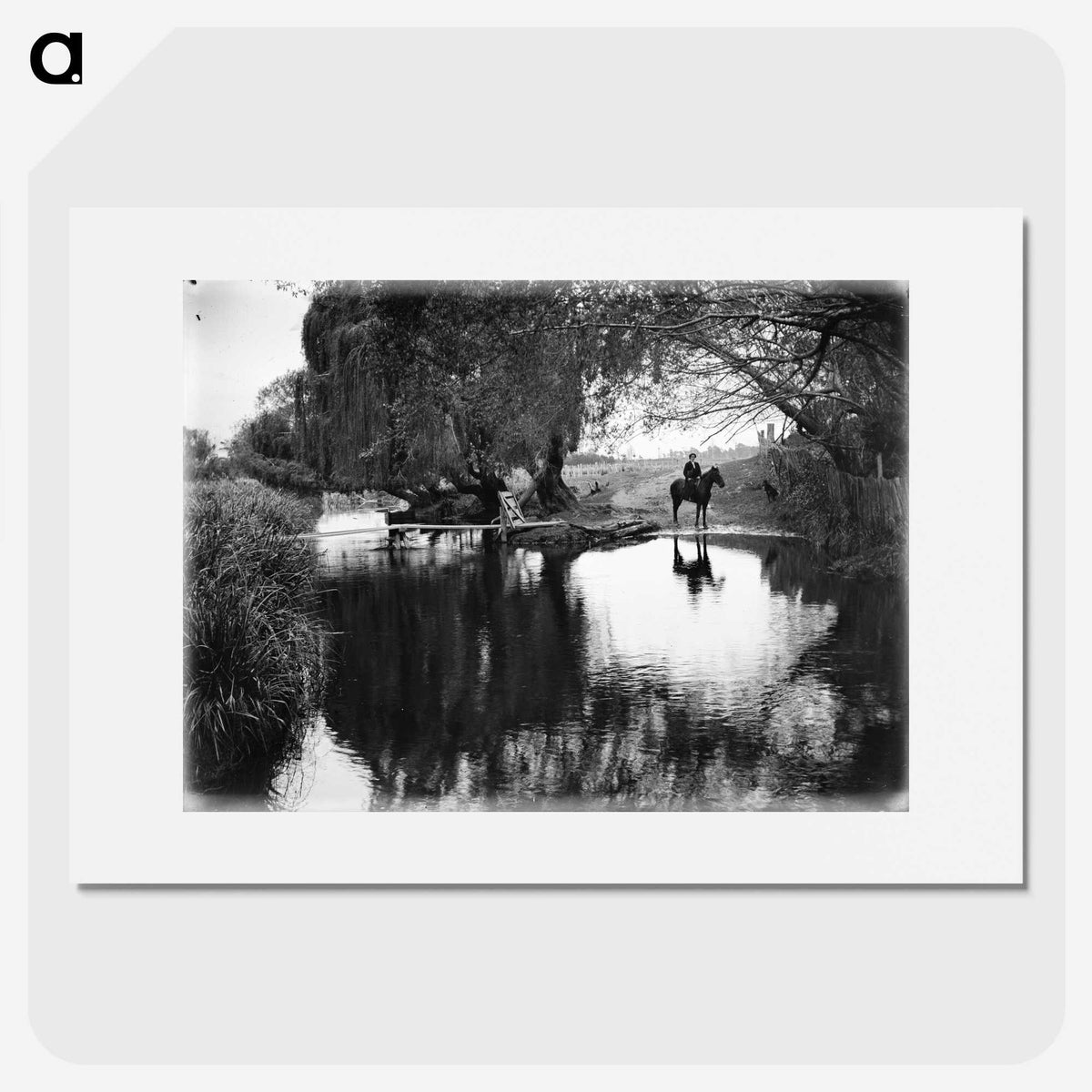 1-25_Leslie-Adkin_picture