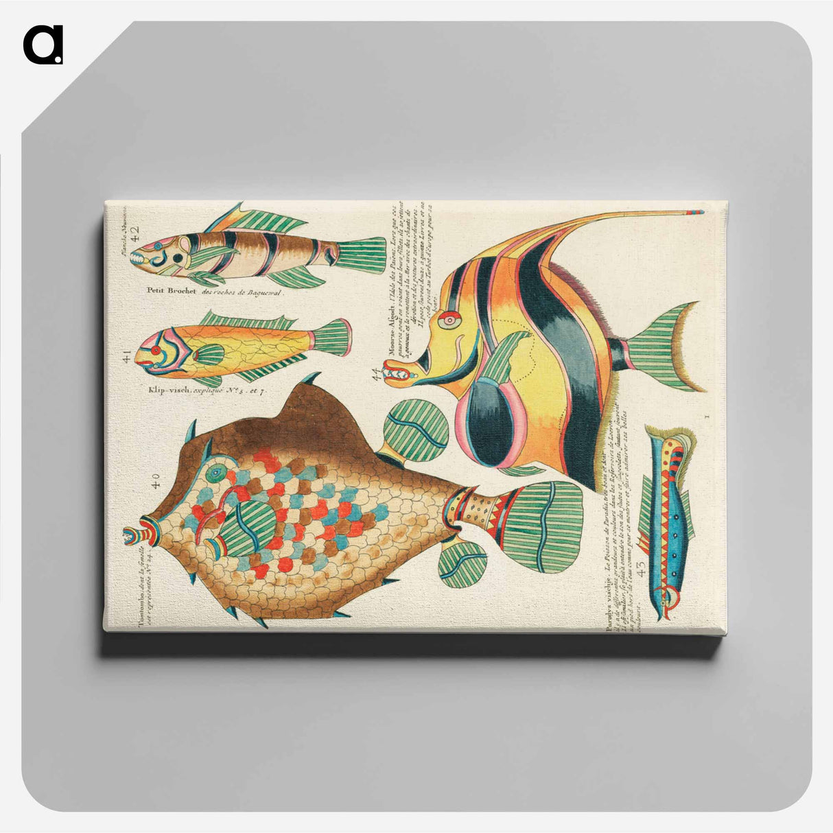 アートパネル-Moluccan Fishes
- ルイ ルナール Canvas.