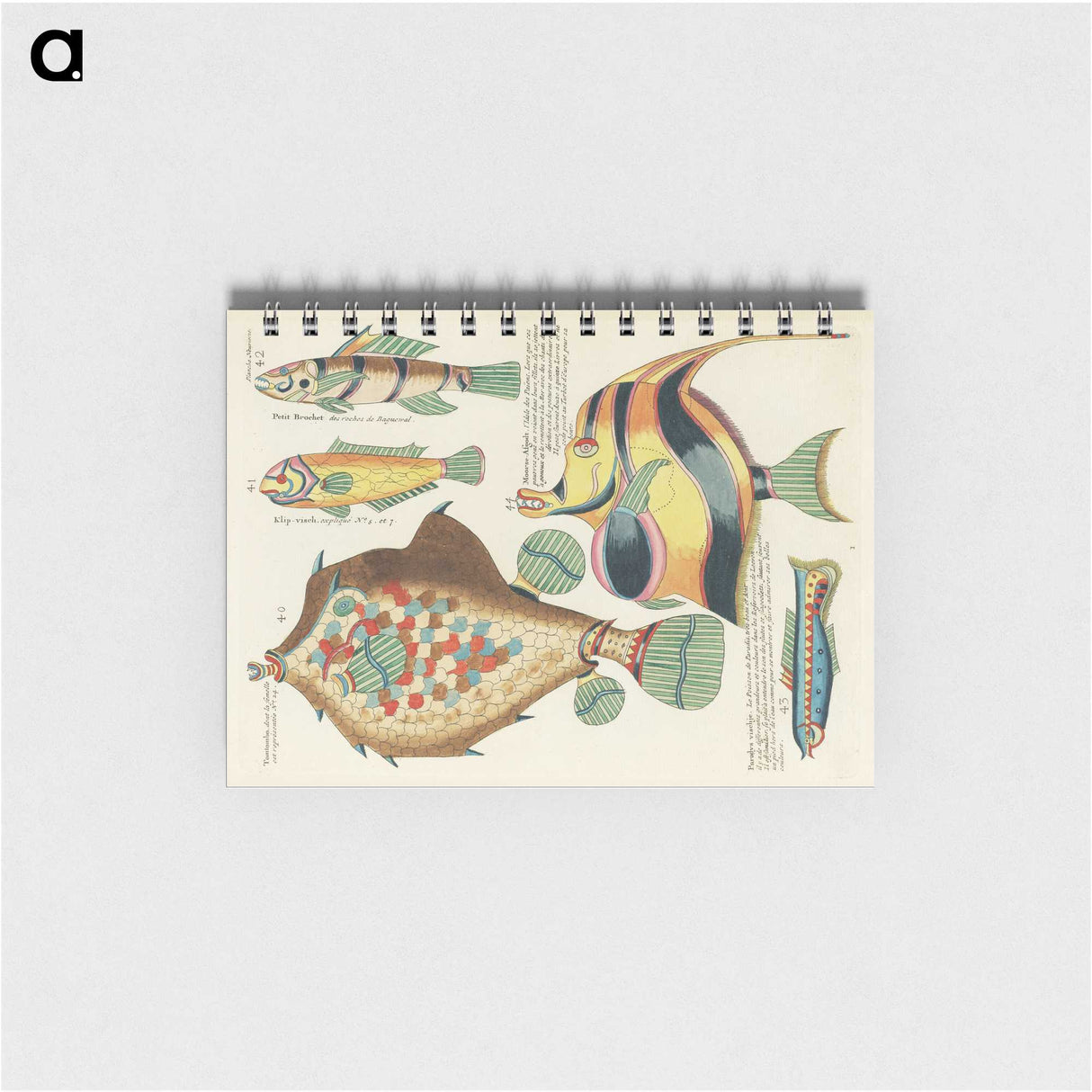1-25_Louis-Renard_memo