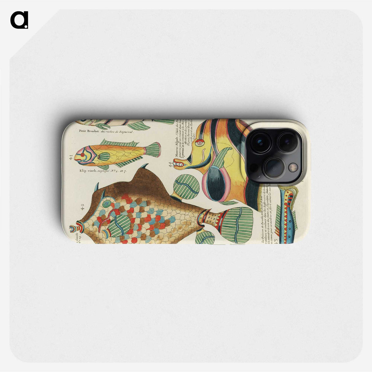 1-25_Louis-Renard_phone