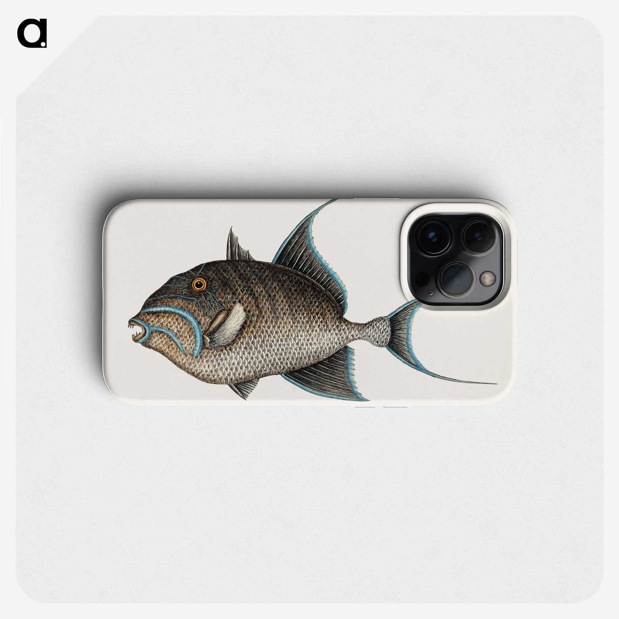 1-25_Mark-Catesby_phone
