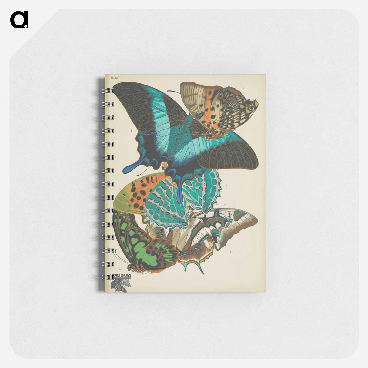 アートメモ帳-Vintage Butterflies
- パピヨン Memo.