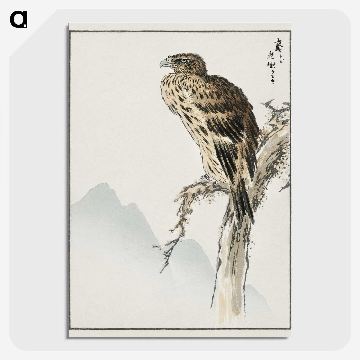 1-25_Pictorial-Monograph-of-Birds_picture-crop