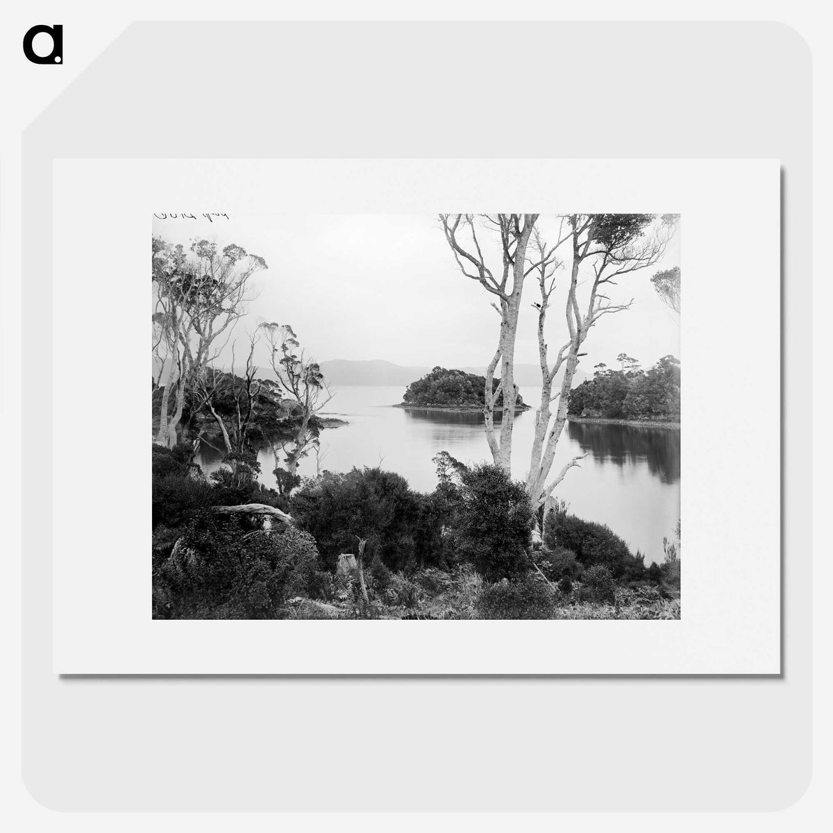 1-25_The-Burton-Brothers_picture