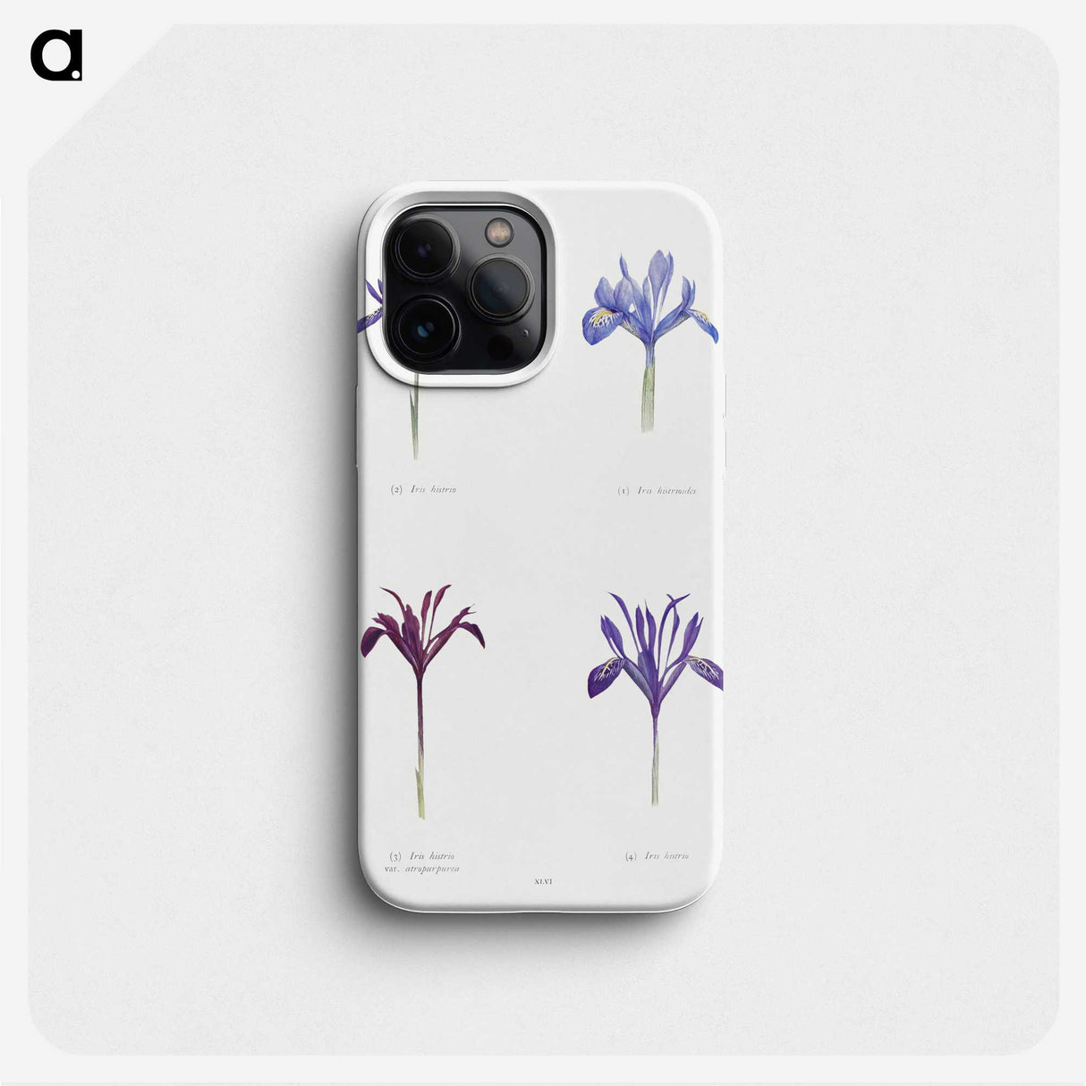 1-25_The-Genus-Iris_phone