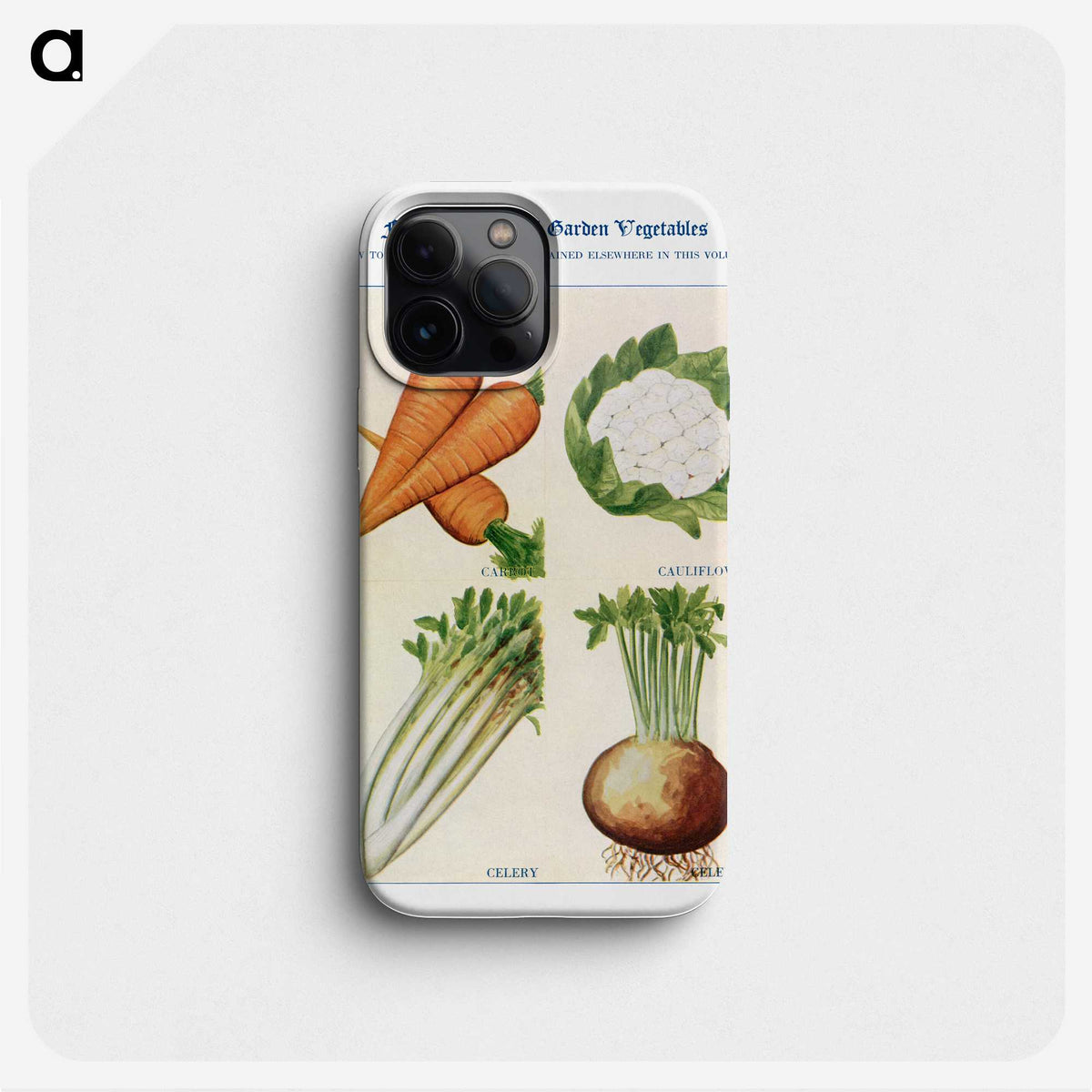 1-25_The-Open-Door-to-Independence_phone