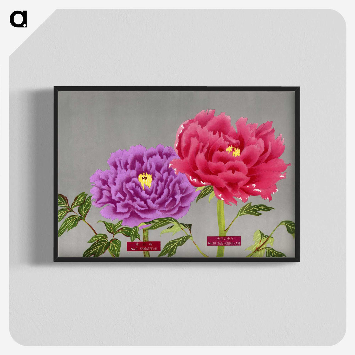 1-25_The-Picture-Book-of-Peonies_blk-crop
