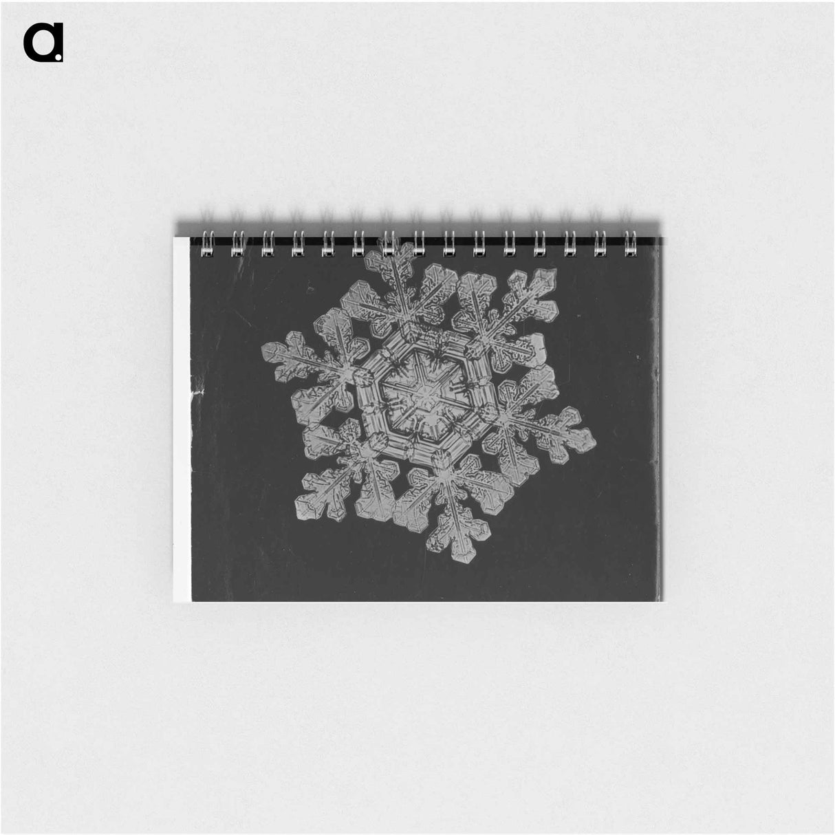 アートメモ帳-Wilson Bentley Photomicrograph of Dendrite Star Snowflake No. 591 - ウィルソン ベントレー Memo.