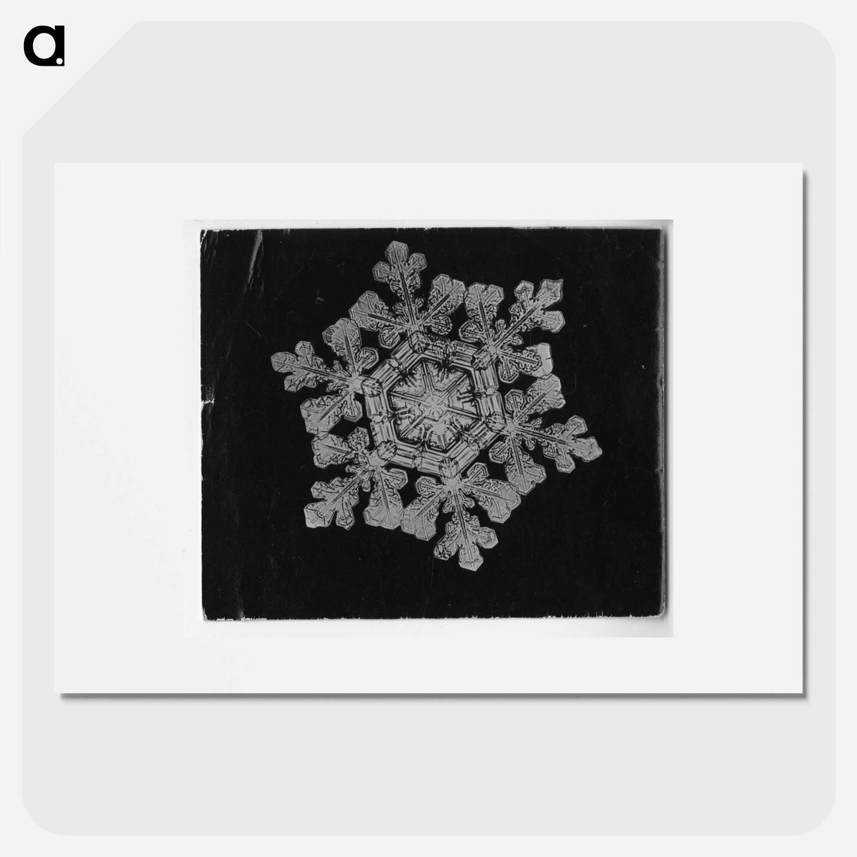 Wilson Bentley Photomicrograph of Dendrite Star Snowflake No. 591 - Wilson Bentley Poster.