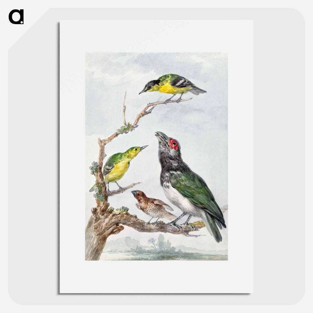 Four Different Birds on a Branch - アールト シューマン Poster.