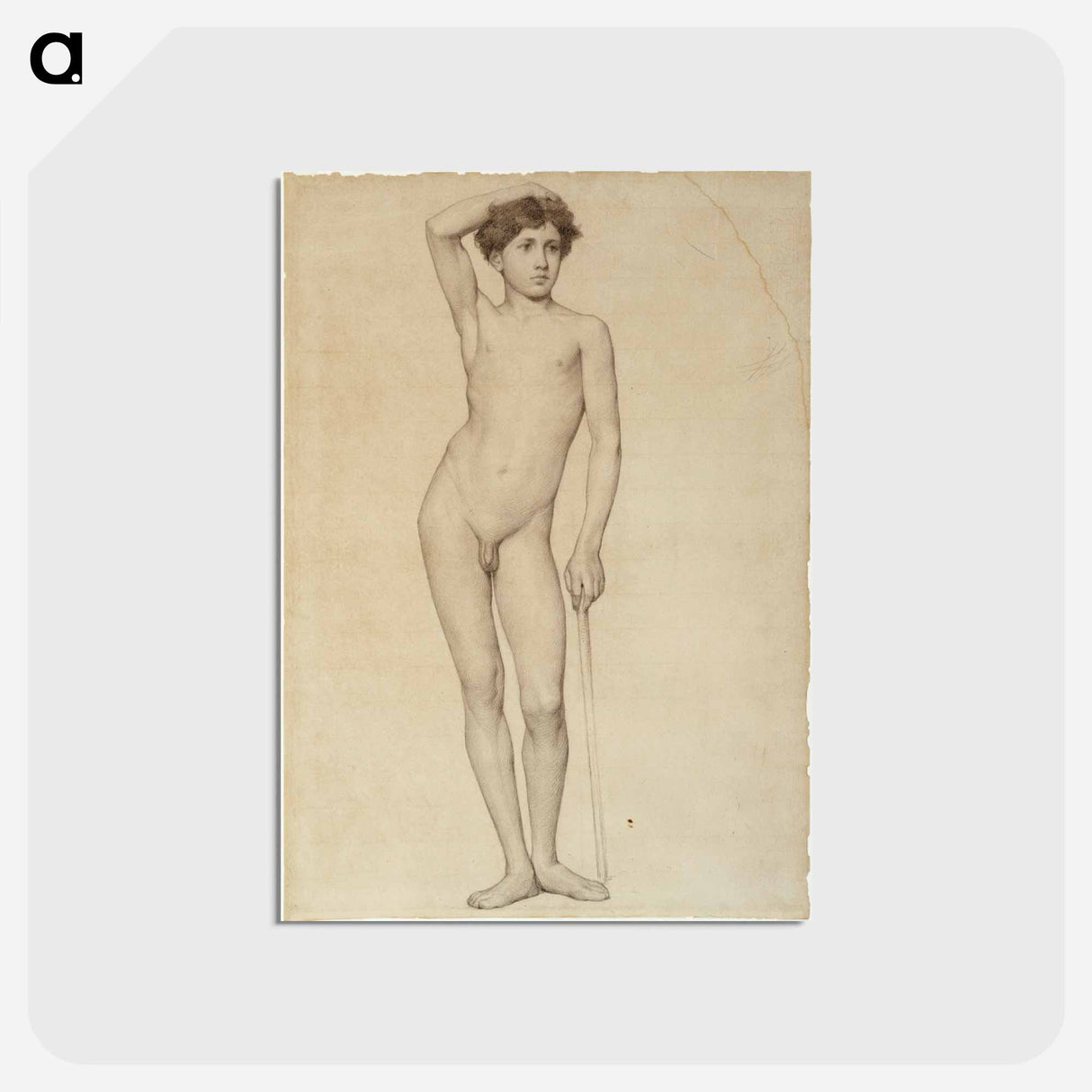 Nude male model, academy study - アルバート エーデルフェルト Postcard.