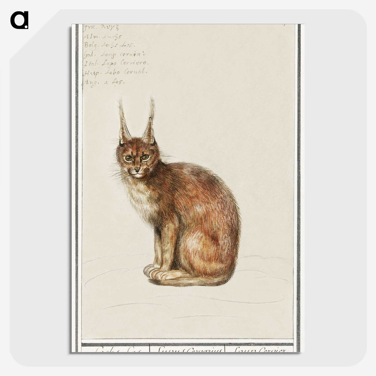 1-26_Anselmus-Boetius-de-Boodt_picture-crop