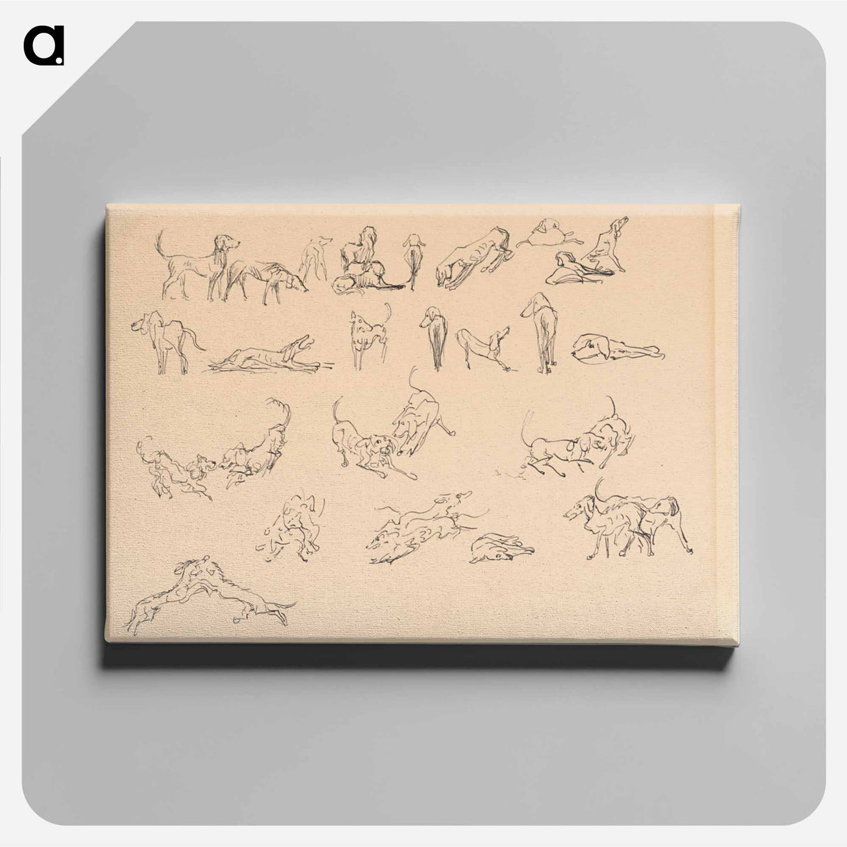 Dog studies - アーノルド ピーター ワイズ クビンチャン Canvas.