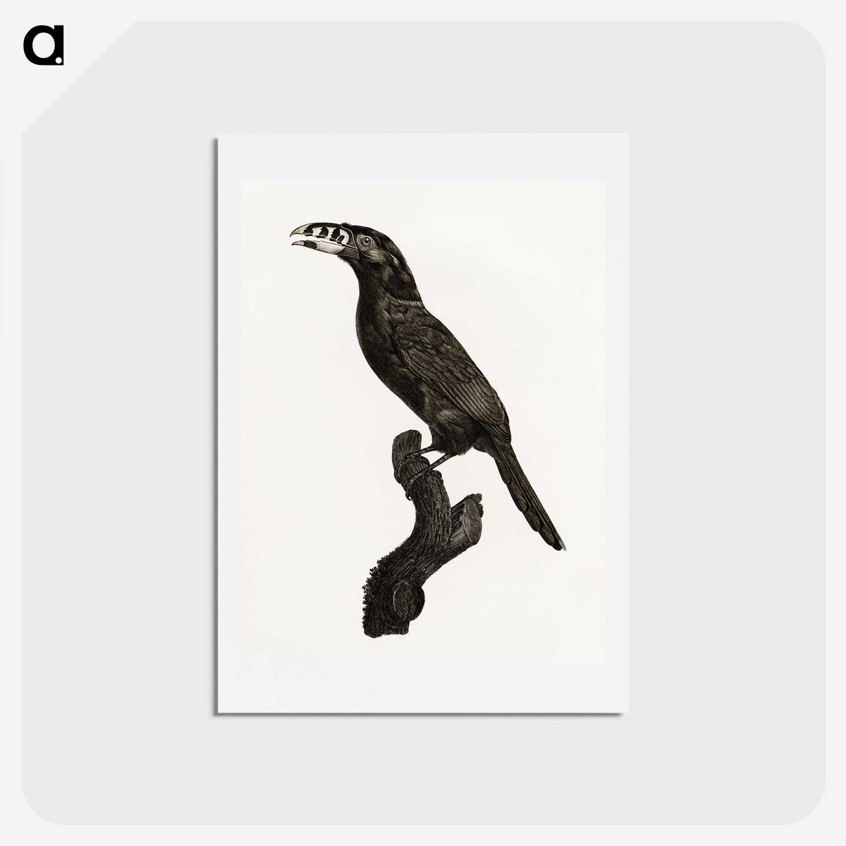 1-26_Des-Oiseaux-de-Paradis_hagaki